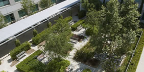 Toyota Motor Sales, Torrance, California, USA