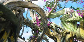 Hang Nga Guesthouse & Art Gallery, Da Lat, Vietnam