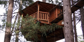 Հյուրանոց Ծառերի Վրա ,  Տակիլմա, Օրեգոն, ԱՄՆ