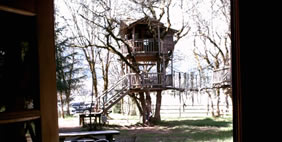 Հյուրանոց Ծառերի Վրա ,  Տակիլմա, Օրեգոն, ԱՄՆ