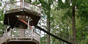 Հյուրանոց Ծառերի Վրա ,  Տակիլմա, Օրեգոն, ԱՄՆ