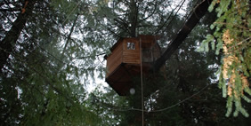 Հյուրանոց Ծառերի Վրա ,  Տակիլմա, Օրեգոն, ԱՄՆ