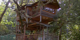 Հյուրանոց Ծառերի Վրա ,  Տակիլմա, Օրեգոն, ԱՄՆ