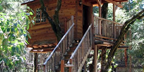 Հյուրանոց Ծառերի Վրա ,  Տակիլմա, Օրեգոն, ԱՄՆ