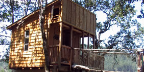 Հյուրանոց Ծառերի Վրա ,  Տակիլմա, Օրեգոն, ԱՄՆ