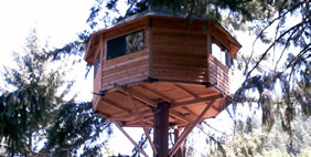 Հյուրանոց Ծառերի Վրա ,  Տակիլմա, Օրեգոն, ԱՄՆ