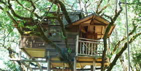 Հյուրանոց Ծառերի Վրա ,  Տակիլմա, Օրեգոն, ԱՄՆ