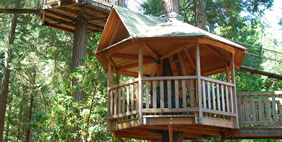 Հյուրանոց Ծառերի Վրա ,  Տակիլմա, Օրեգոն, ԱՄՆ