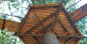 Հյուրանոց Ծառերի Վրա ,  Տակիլմա, Օրեգոն, ԱՄՆ