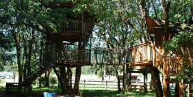 Հյուրանոց Ծառերի Վրա ,  Տակիլմա, Օրեգոն, ԱՄՆ