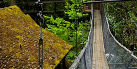 Հյուրանոց Ծառերի Վրա ,  Տակիլմա, Օրեգոն, ԱՄՆ