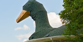 Մայր Սագ , Հազարդ,  Կենտուկի, ԱՄՆ