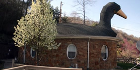 Մայր Սագ , Հազարդ,  Կենտուկի, ԱՄՆ