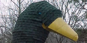 Մայր Սագ , Հազարդ,  Կենտուկի, ԱՄՆ