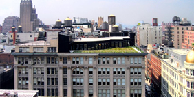 Քուք + Ֆոքս Ընկերության Գրասենյակ, ԱՄՆ