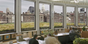 Քուք + Ֆոքս Ընկերության Գրասենյակ, ԱՄՆ