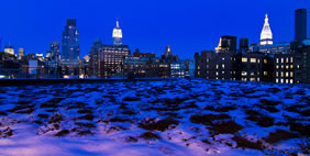 Քուք + Ֆոքս Ընկերության Գրասենյակ, ԱՄՆ