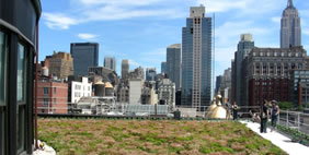 Քուք + Ֆոքս Ընկերության Գրասենյակ, ԱՄՆ