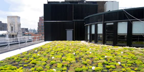 Քուք + Ֆոքս Ընկերության Գրասենյակ, ԱՄՆ