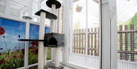 Отель для Кошек «Longcroft», Великобритания