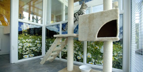 Отель для Кошек «Longcroft», Великобритания