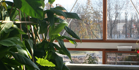 Omega Institute for Holistic Studies, New York, USA