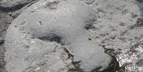 Լուպանար, Հին Հռոմ, Իտալիա